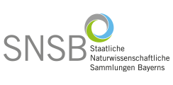 Logo Staatliche Naturwissenschaftliche Sammlungen Bayerns