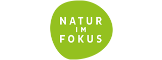 Logo das Auftritts Natur im Fokus; Das Logo zeigt 3 Rechtecke mit symbolhaften Bildern eines Blattes, einer Libelle und eines Berges; Link führt zu Startseite des Angebots Natur im Fokus 