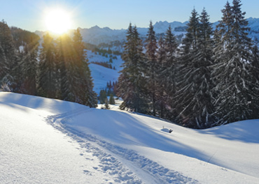 Das Bild zeigt eine Winterlandschaft mit Spuren von Skitourengehern